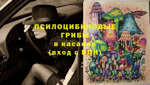 ешки Алзамай