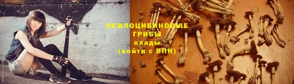 ешки Алзамай