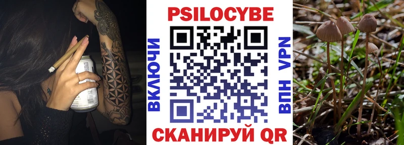 Галлюциногенные грибы Psilocybe Ангарск
